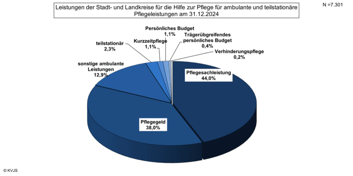 Leistungen_ambulante_und_teilstationaere_HzP